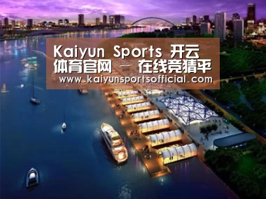 案例展示八