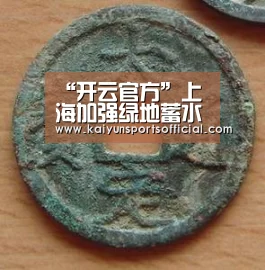 “开云官方”上海加强绿地蓄水功能 2020年有望完成“海绵城市”体系(图1) 开云体育